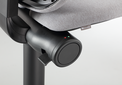 Movably Pro Plus, Preorder.